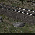 Railway Track Road Facility With Gravel Grass Rocks And Pink Petals