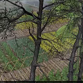 Misty Forest Scenery With Wooden Boardwalk Geometric Railings And Green Plants