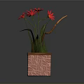 Potted Plant With Red Flowers Green Leaves In Pink Square Textured Pot