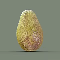 Fresh Ripe Avocado With Green Textured Skin Isolated On Gray Background