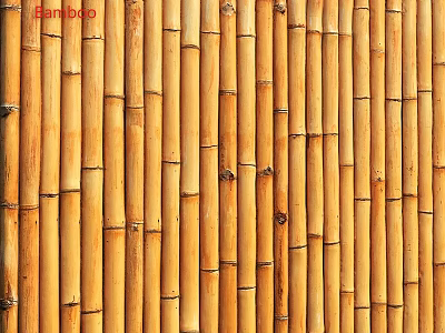 Bamboo Partition with Vertical Sticks as Natural Room Divider 3d model