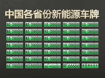 China Provinces New Energy License Plates Various Designs And Samples 3d model