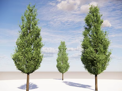 modern deciduous tree iron frame wood roadside tree street tree community greening landscape tree red leaf tree dwarf tree broad-leaved tree plant trees green tree 3d model