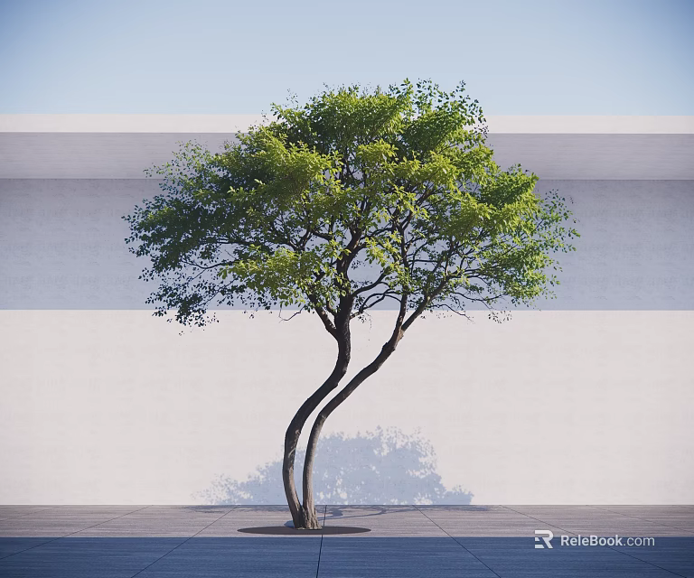 Lush Green Arbor With Curved Trunks Against White Wall Gray Ground And Blue Sky 3d model 