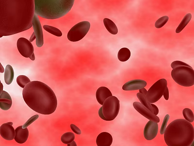 Organ System Visualization With Red Blood Cells Green Cells And Red Background 3d model