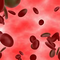 Organ System Visualization With Red Blood Cells Green Cells And Red Background