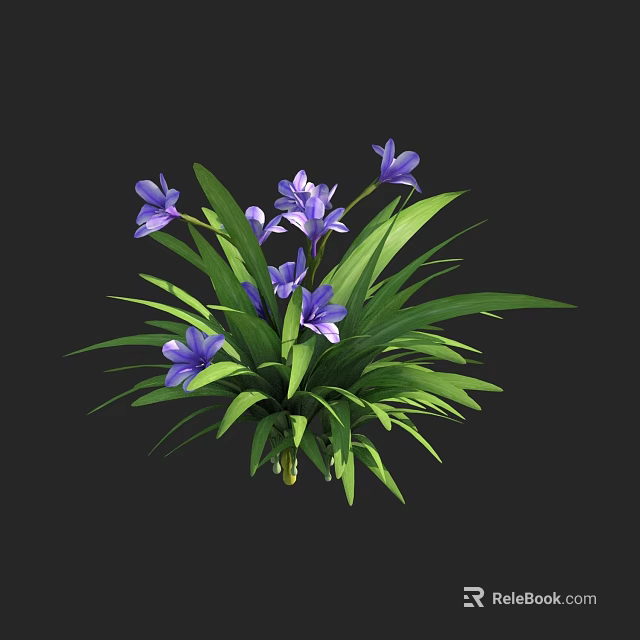 Blooming Vibrant Purple Flowers With Lush Green Leaves Against Black Background 3d model 