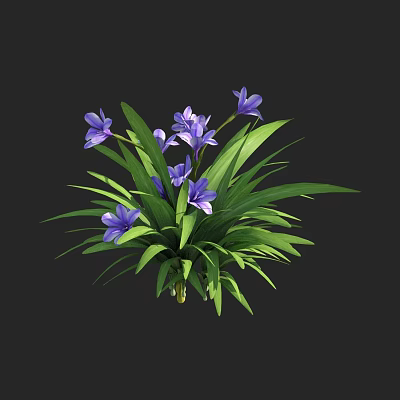 Blooming Vibrant Purple Flowers With Lush Green Leaves Against Black Background 3d model