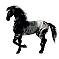 Black Horse In Traditional Ink Painting Style Standing Elegantly Alone