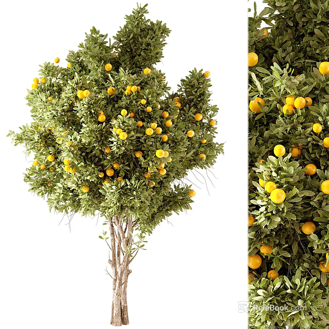Orange Tree with Lush Green Leaves and Ripe Yellow Fruits 3d model 