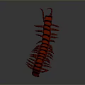 Detailed Red And Black Striped 3D Centipede Model On Grey Gradient Background