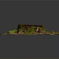 Natural Wooden Stump With Green Moss And Fallen Leaves In Forest Ground