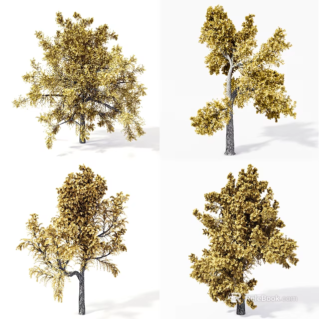 Four Different Arbor Varieties With Golden Foliage And Natural Shapes 3d model 