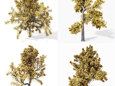 Four Different Arbor Varieties With Golden Foliage And Natural Shapes 3d model