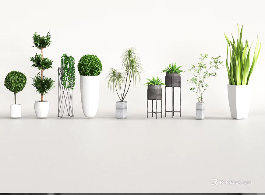 Variety of Decorative Potted Bonsai Plants with Different Planters and Shapes 3d model 