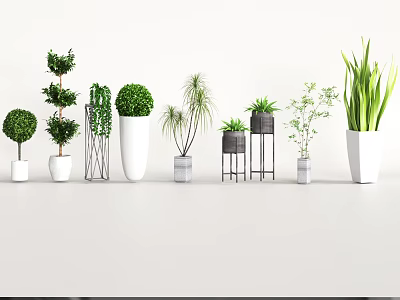 Variety of Decorative Potted Bonsai Plants with Different Planters and Shapes 3d model