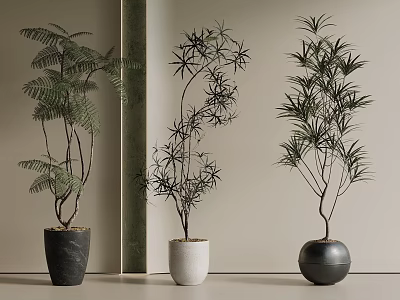 023 Potted Pine Pohan Pine Green Planting Flower Pot 3d model