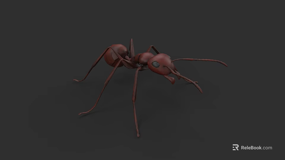 Realistic 3D Rendering of Brown Ant With Long Legs and Antennae 3d model 