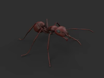 Realistic 3D Rendering of Brown Ant With Long Legs and Antennae 3d model
