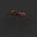 Realistic 3D Rendering of Brown Ant With Long Legs and Antennae