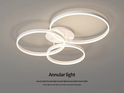Modern Annular Circular LED Ceiling Light Fixture Design With Bright Illumination 3d model