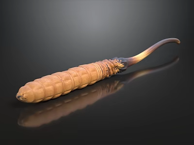 Brown Textured Larva Shaped Object on Black Background with Reflective Surface 3d model