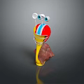 Snail Cartoon Snail Small Snail Reptile Cold Blooded Animal Reptile 3d model