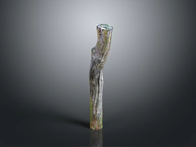 Green Plants And Moss Growing On Natural Tree Stump Decorative Piece 3d model