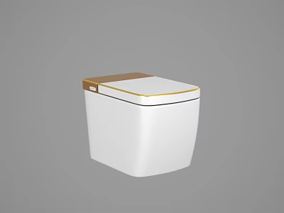 Modern White Toilet with Brown Lid and Gold Accent Lines Design 3d model
