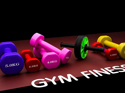 Gym Fitness Equipment With Colorful Dumbbells Ab Roller And Weight Markings 3d model