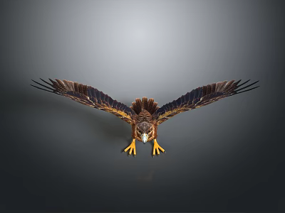 Majestic Eagle With Spread Wings Sharp Talons And Detailed Feathers Flying Against Gray Background 3d model