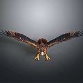 Majestic Eagle With Spread Wings Sharp Talons And Detailed Feathers Flying Against Gray Background