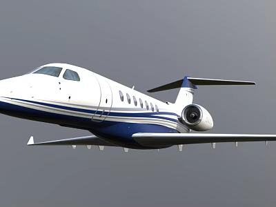 White And Blue Passenger Jet With Stripe Design Soaring In Gray Sky 3d model