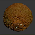 Round Orange Yellow Fruit With Rough Bumpy Surface And Small Stem