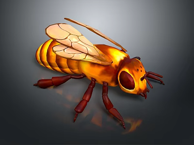 Detailed Illustration Of A Honey Bee With Transparent Wings And Striped Body 3d model