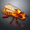 Detailed Illustration Of A Honey Bee With Transparent Wings And Striped Body
