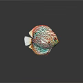 Vibrant Discus Fish With Red And Blue Patterns Round Body And Red Eyes