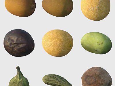 Assorted Fresh Tropical Fruits Showcase With Mangoes Cantaloupes Coconuts Figs And Avocados 3d model