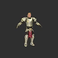 Medieval Knight Game Movie Character In Golden Silver Armor With Red Accents