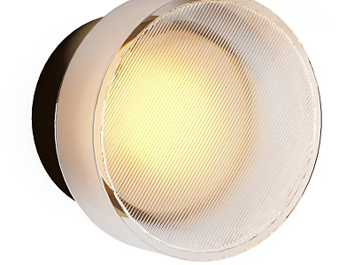 Modern Round Wall Light With Metal Frame And Textured Transparent Warm Light Shade 3d model