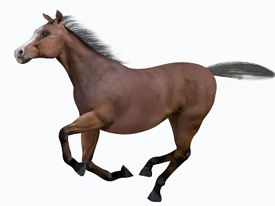 Brown Reptile Lizard Crawling On White Background In Natural Habitat Scene 3d model