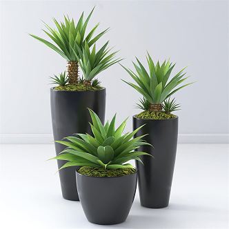 Modern Potted Plant Green Plant Potted Plant Combination Potted Plant Indoor Potted Plant Indoor Green Plant Flowers Potted Plant Pile Green Plant Combination 3d model