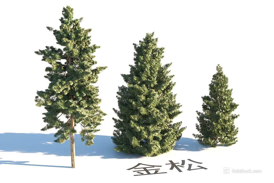 Garden Landscape Design With Golden Pine Trees of Various Sizes for Outdoor Spaces 3d model 