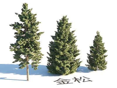 Garden Landscape Design With Golden Pine Trees of Various Sizes for Outdoor Spaces 3d model