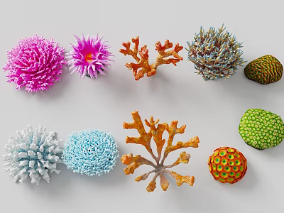 Colorful Coral Polyps In Various Shapes And Bright Colors In Marine Habitat 3d model