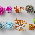 Colorful Coral Polyps In Various Shapes And Bright Colors In Marine Habitat