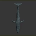 Teal Whale Sculpture With Textured Surface And Distinct Outline On Dark Background