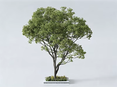 Square Tree Pit Design With Lush Green Tree And Small Plants 3d model
