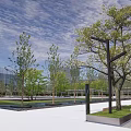 Modern Outdoor Pergola With Metal Frame Shade Structure Near Trees Water Surface And Modern Buildings