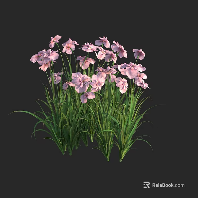 Vibrant Pink Blooming Flowers With Lush Green Grass In Natural Garden Scene 3d model 